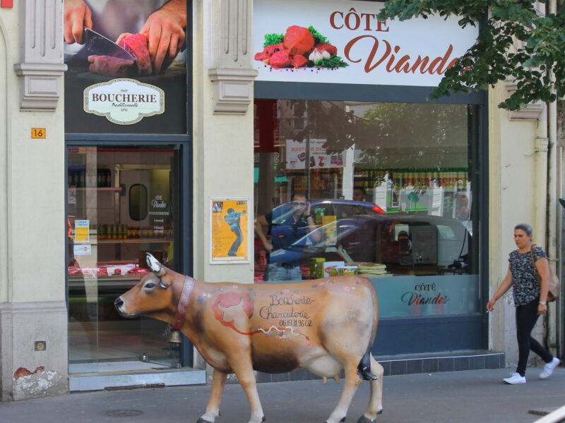 Boucherie HB